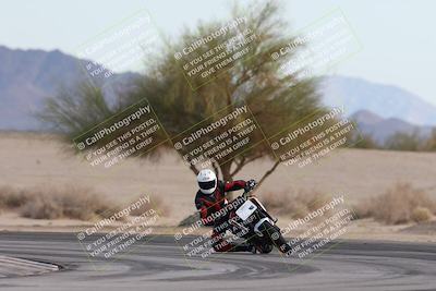 media/Nov-30-2025-TrackXperience (Sun) [[c0061d280f]]/2-Level 2/Session 6 Turn 4 Tree of Life/